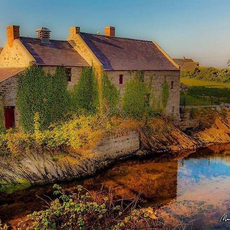 Lovely 2-Bed Cottage At The Foot Of The Mournes ニューリー エクステリア 写真