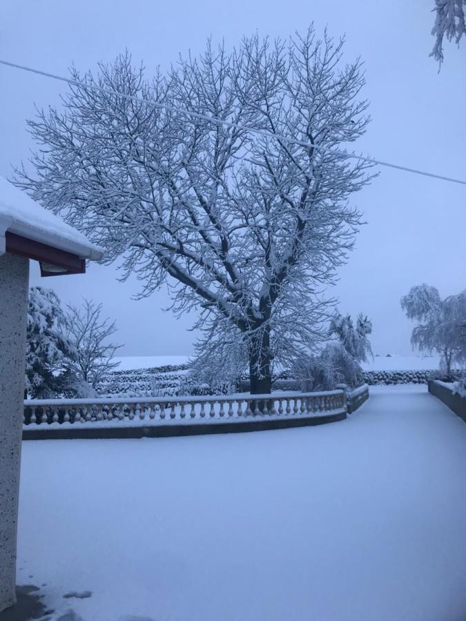 Lovely 2-Bed Cottage At The Foot Of The Mournes ニューリー エクステリア 写真