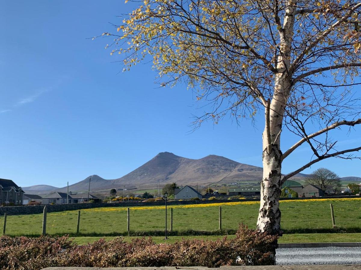 Lovely 2-Bed Cottage At The Foot Of The Mournes ニューリー エクステリア 写真