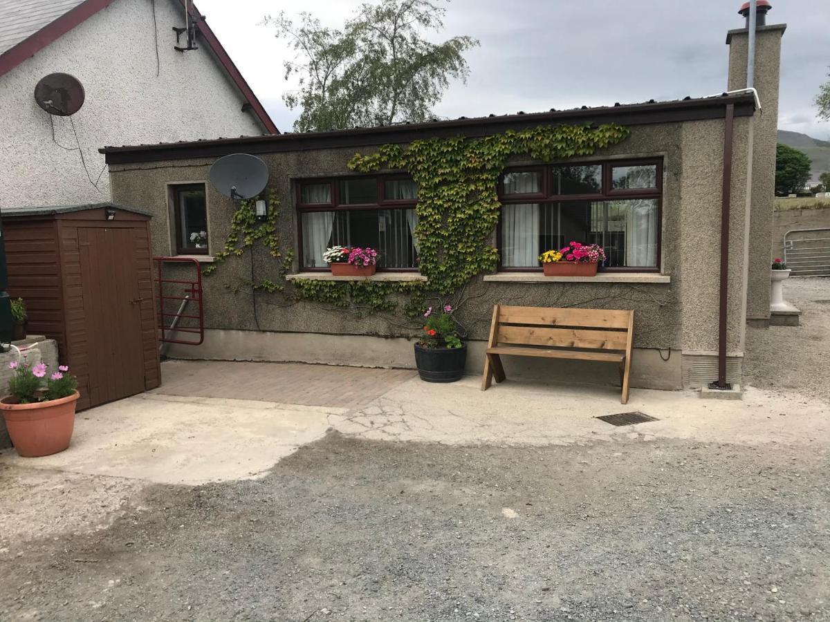Lovely 2-Bed Cottage At The Foot Of The Mournes ニューリー エクステリア 写真