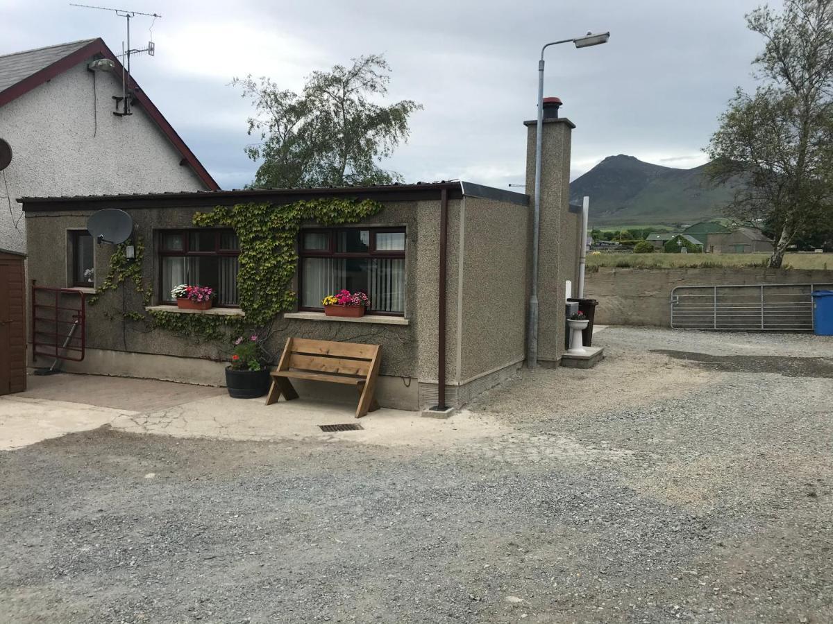 Lovely 2-Bed Cottage At The Foot Of The Mournes ニューリー エクステリア 写真
