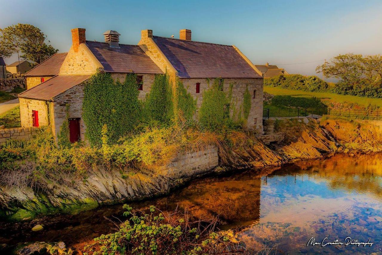 Lovely 2-Bed Cottage At The Foot Of The Mournes ニューリー エクステリア 写真
