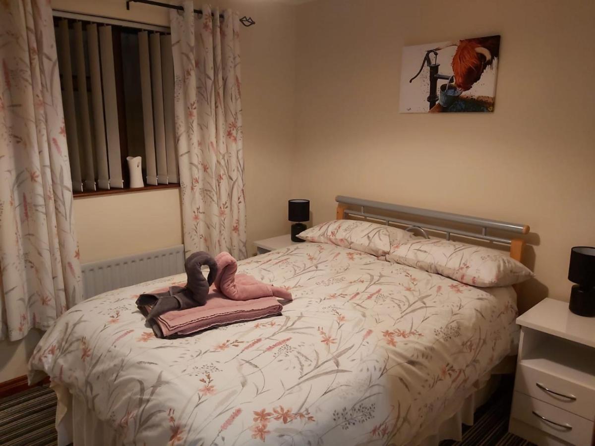 Lovely 2-Bed Cottage At The Foot Of The Mournes ニューリー エクステリア 写真