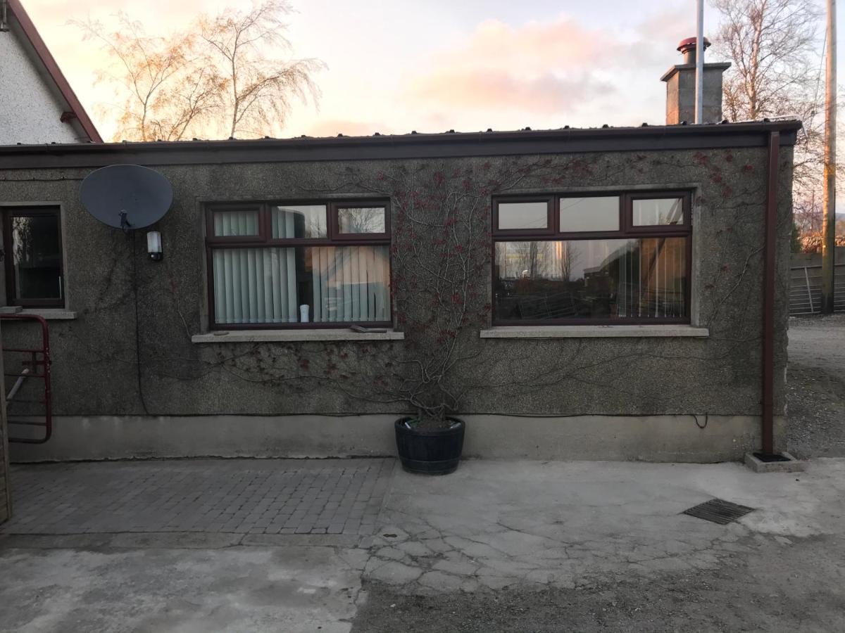 Lovely 2-Bed Cottage At The Foot Of The Mournes ニューリー エクステリア 写真