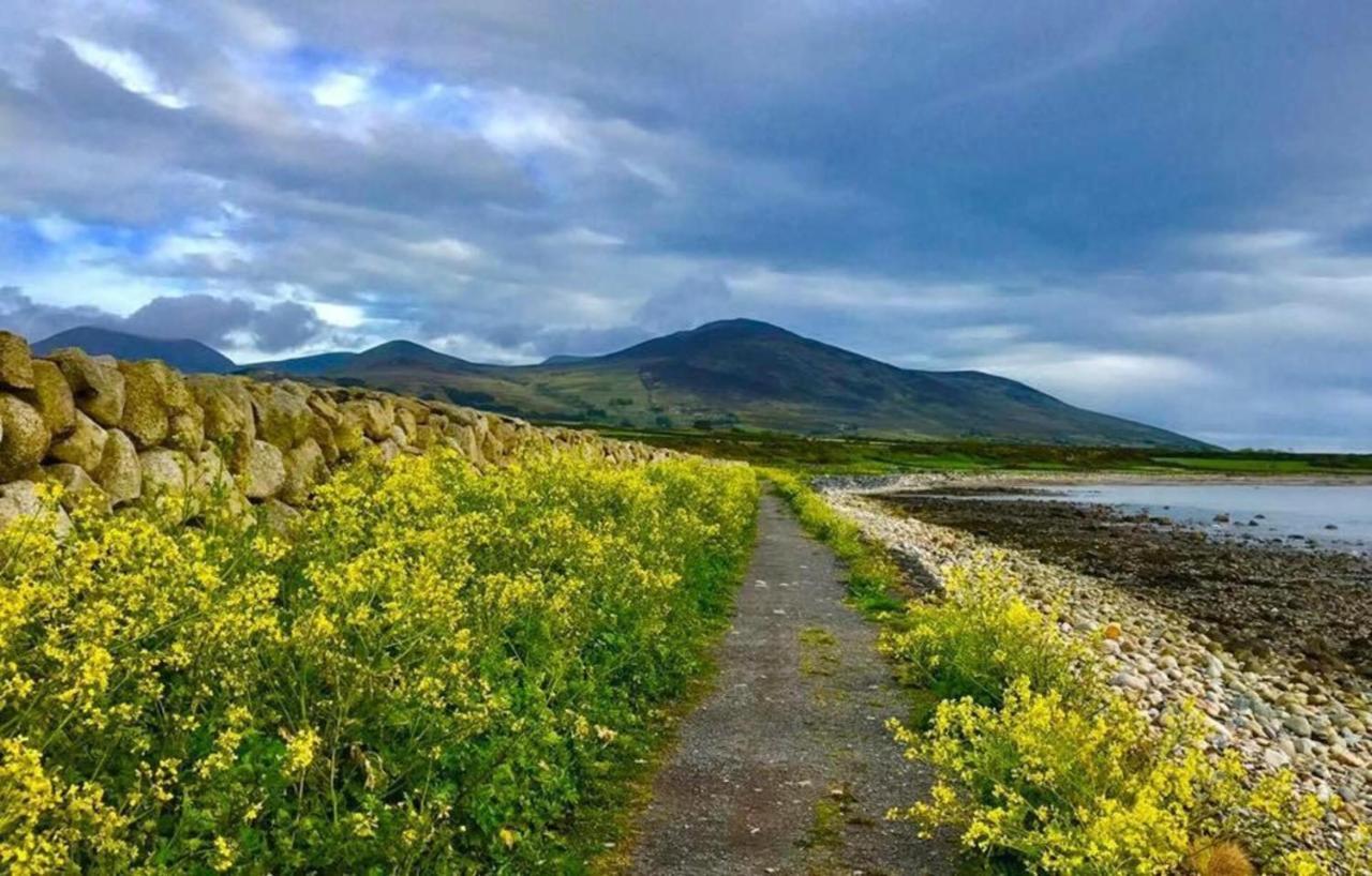 Lovely 2-Bed Cottage At The Foot Of The Mournes ニューリー エクステリア 写真
